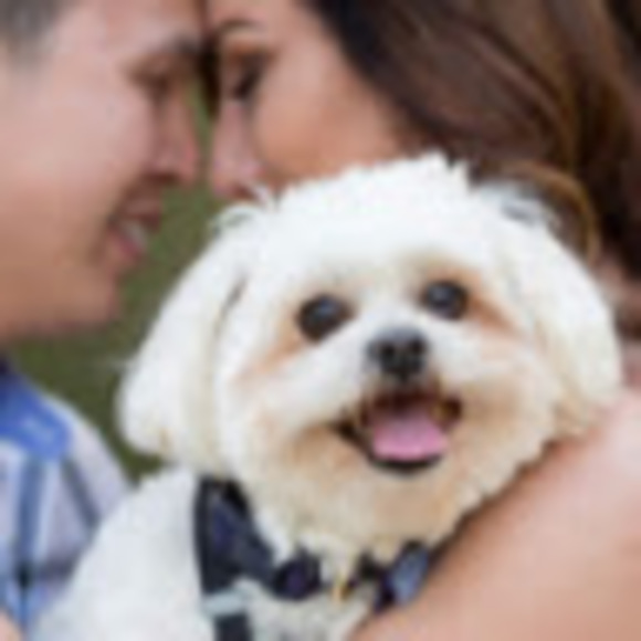 Meet your Posher, Jessica - Picture 1 of 1